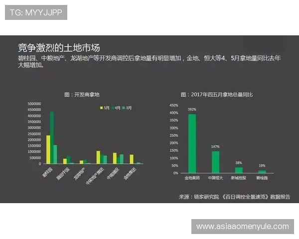 巴西队与海地队最新阵容调整及比赛动态全景报道